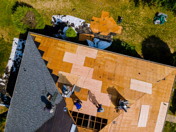 Best Storm Damage Roof Repair  in Winter Springs, FL
